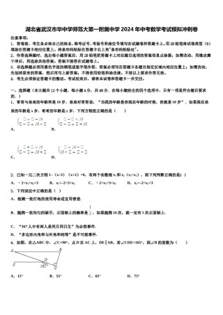 湖北省武汉市华中学师范大第一附属中学2024年中考数学考试模拟冲刺卷含解析.doc