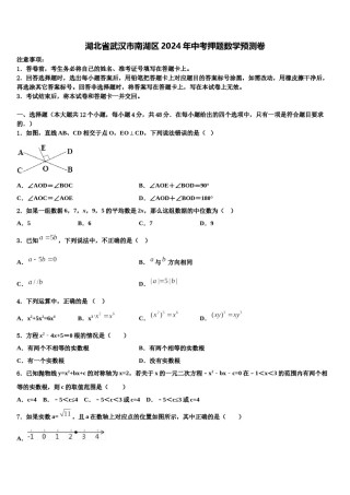 湖北省武汉市南湖区2024年中考押题数学预测卷含解析.doc