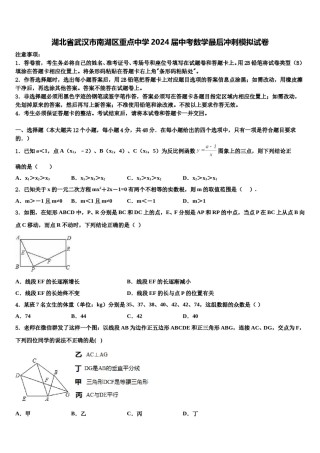 湖北省武汉市南湖区重点中学2024届中考数学最后冲刺模拟试卷含解析.doc