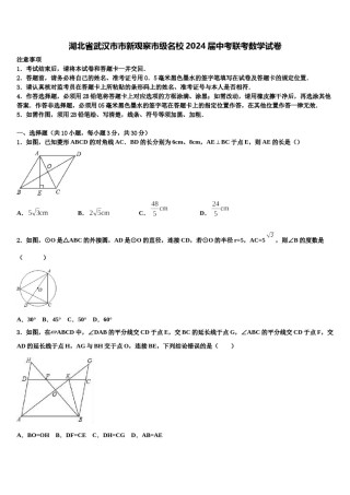 湖北省武汉市市新观察市级名校2024届中考联考数学试卷含解析.doc