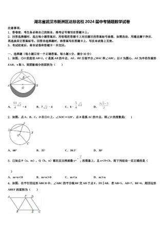 湖北省武汉市新洲区达标名校2024届中考猜题数学试卷含解析.doc