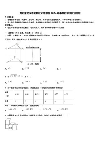 湖北省武汉市武昌区C组联盟2024年中考数学模拟预测题含解析.doc
