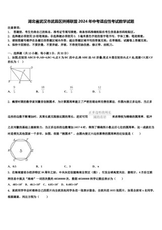 湖北省武汉市武昌区拼搏联盟2024年中考适应性考试数学试题含解析.doc
