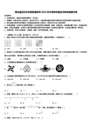 湖北省武汉市求新联盟联考2024年中考数学最后冲刺浓缩精华卷含解析.doc