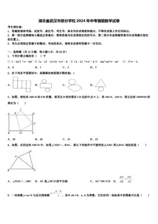 湖北省武汉市部分学校2024年中考猜题数学试卷含解析.doc