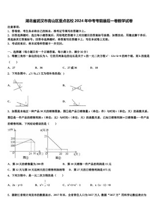 湖北省武汉市青山区重点名校2024年中考考前最后一卷数学试卷含解析.doc