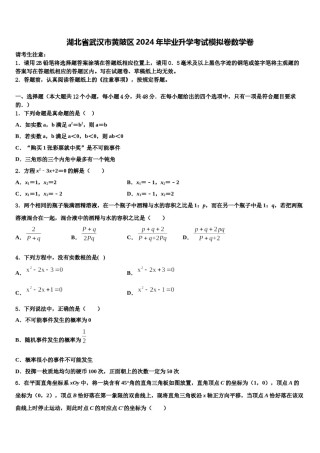 湖北省武汉市黄陂区2024年毕业升学考试模拟卷数学卷含解析.doc
