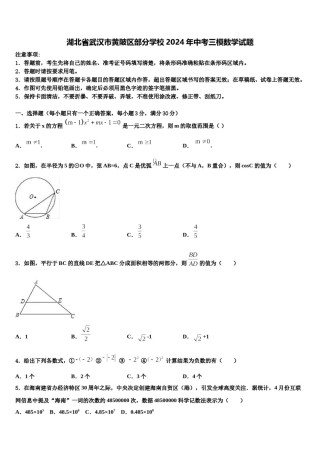 湖北省武汉市黄陂区部分学校2024年中考三模数学试题含解析.doc