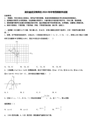 湖北省武汉梅苑校2024年中考四模数学试题含解析.doc