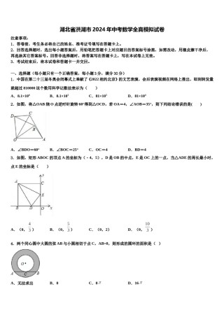 湖北省洪湖市2024年中考数学全真模拟试卷含解析.doc