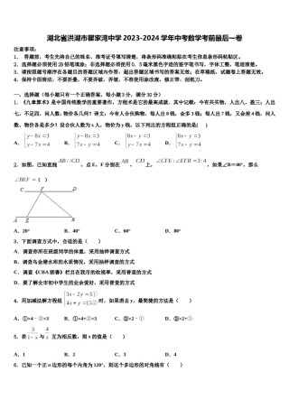 湖北省洪湖市瞿家湾中学2023-2024学年中考数学考前最后一卷含解析.doc