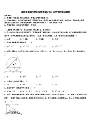 湖北省襄阳市枣阳实验中学2024年中考数学猜题卷含解析.doc