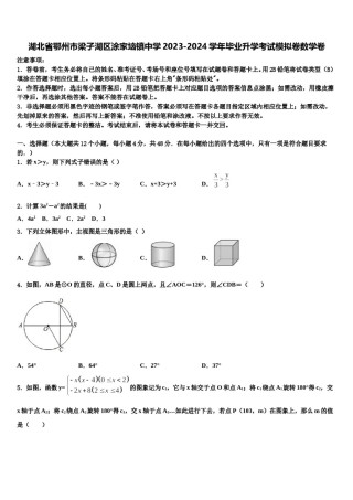 湖北省鄂州市梁子湖区涂家垴镇中学2023-2024学年毕业升学考试模拟卷数学卷含解析.doc
