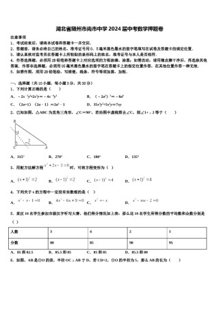 湖北省随州市尚市中学2024届中考数学押题卷含解析.doc