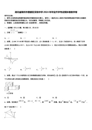 湖北省随州市曾都区实验中学2024年毕业升学考试模拟卷数学卷含解析.doc