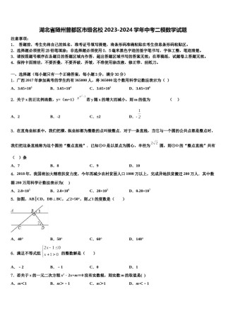 湖北省随州曾都区市级名校2023-2024学年中考二模数学试题含解析.doc