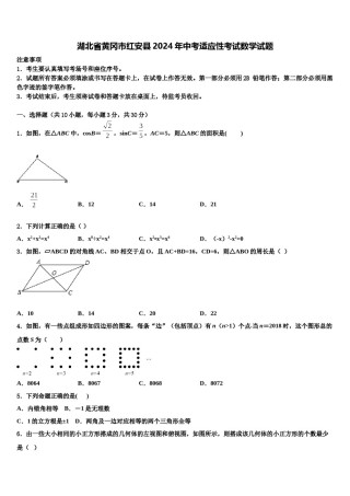 湖北省黄冈市红安县2024年中考适应性考试数学试题含解析.doc