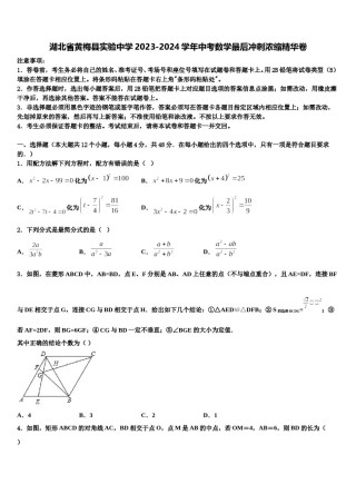 湖北省黄梅县实验中学2023-2024学年中考数学最后冲刺浓缩精华卷含解析.doc