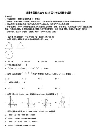 湖北省黄石大冶市2024届中考三模数学试题含解析.doc