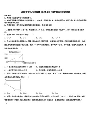 湖北省黄石市协作体2024届十校联考最后数学试题含解析.doc
