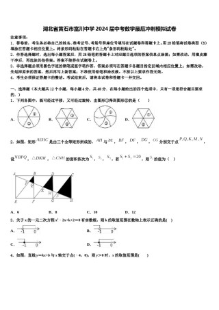 湖北省黄石市富川中学2024届中考数学最后冲刺模拟试卷含解析.doc