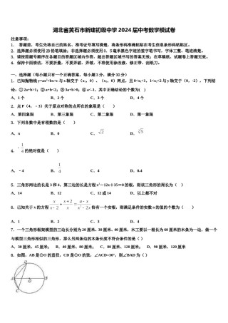 湖北省黄石市新建初级中学2024届中考数学模试卷含解析.doc