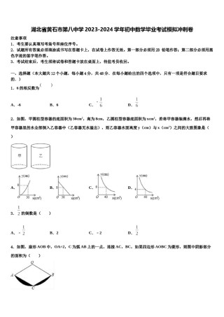 湖北省黄石市第八中学2023-2024学年初中数学毕业考试模拟冲刺卷含解析.doc