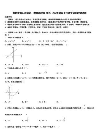 湖北省黄石市阳新一中卓越联盟2023-2024学年十校联考最后数学试题含解析.doc