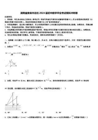 湖南省娄底市名校2024届初中数学毕业考试模拟冲刺卷含解析.doc