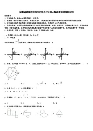 湖南省娄底市涟源市市级名校2024届中考数学模拟试题含解析.doc