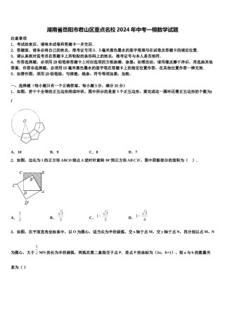 湖南省岳阳市君山区重点名校2024年中考一模数学试题含解析.doc