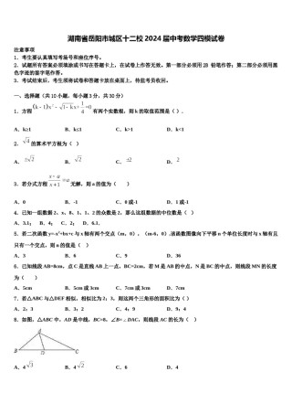 湖南省岳阳市城区十二校2024届中考数学四模试卷含解析.doc