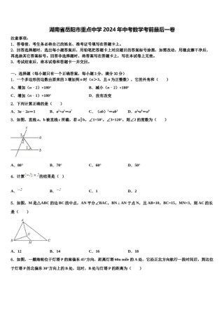 湖南省岳阳市重点中学2024年中考数学考前最后一卷含解析.doc