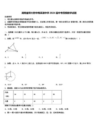 湖南省师大附中梅溪湖中学2024届中考四模数学试题含解析.doc