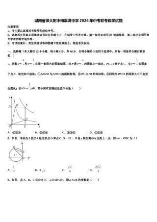 湖南省师大附中梅溪湖中学2024年中考联考数学试题含解析.doc