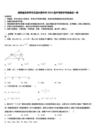 湖南省张家界市五道水镇中学2024届中考数学考前最后一卷含解析.doc