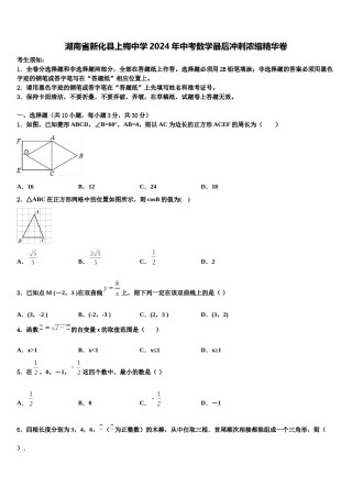 湖南省新化县上梅中学2024年中考数学最后冲刺浓缩精华卷含解析.doc