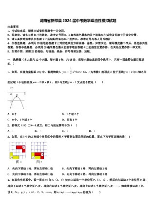 湖南省新邵县2024届中考数学适应性模拟试题含解析.doc