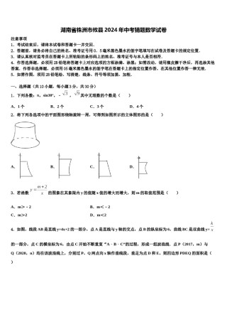 湖南省株洲市攸县2024年中考猜题数学试卷含解析.doc