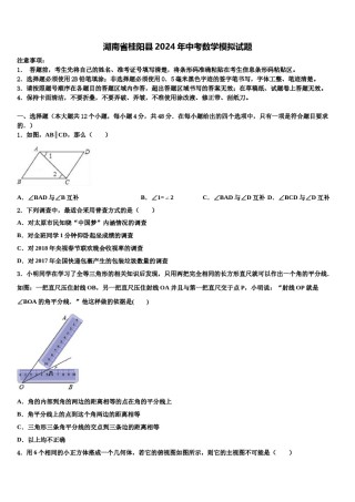 湖南省桂阳县2024年中考数学模拟试题含解析.doc