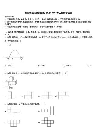 湖南省武冈市洞庭校2024年中考二模数学试题含解析.doc