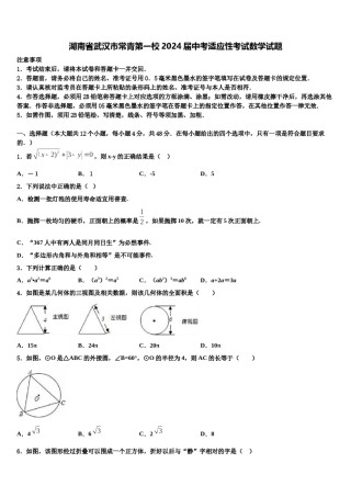 湖南省武汉市常青第一校2024届中考适应性考试数学试题含解析.doc