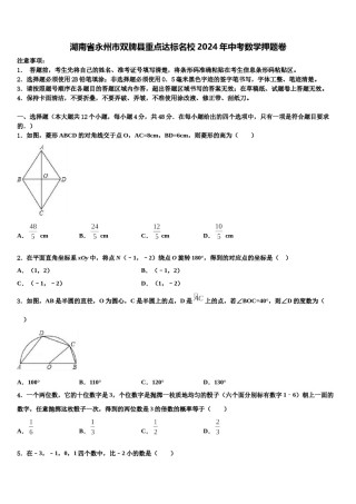 湖南省永州市双牌县重点达标名校2024年中考数学押题卷含解析.doc