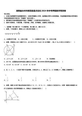 湖南省永州市新田县重点名校2024年中考押题数学预测卷含解析.doc