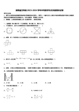 湖南省汉寿县2023-2024学年中考数学对点突破模拟试卷含解析.doc