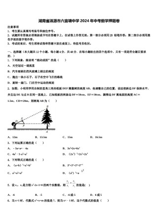 湖南省涟源市六亩塘中学2024年中考数学押题卷含解析.doc