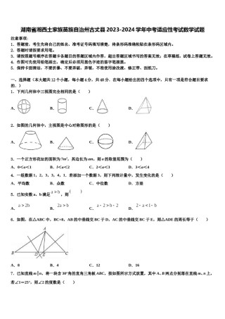 湖南省湘西土家族苗族自治州古丈县2023-2024学年中考适应性考试数学试题含解析.doc