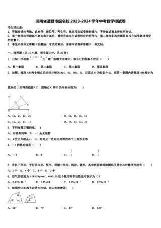 湖南省澧县市级名校2023-2024学年中考数学模试卷含解析.doc