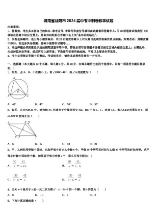 湖南省益阳市2024届中考冲刺卷数学试题含解析.doc