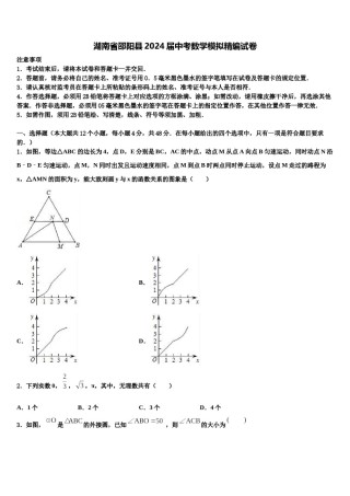湖南省邵阳县2024届中考数学模拟精编试卷含解析.doc